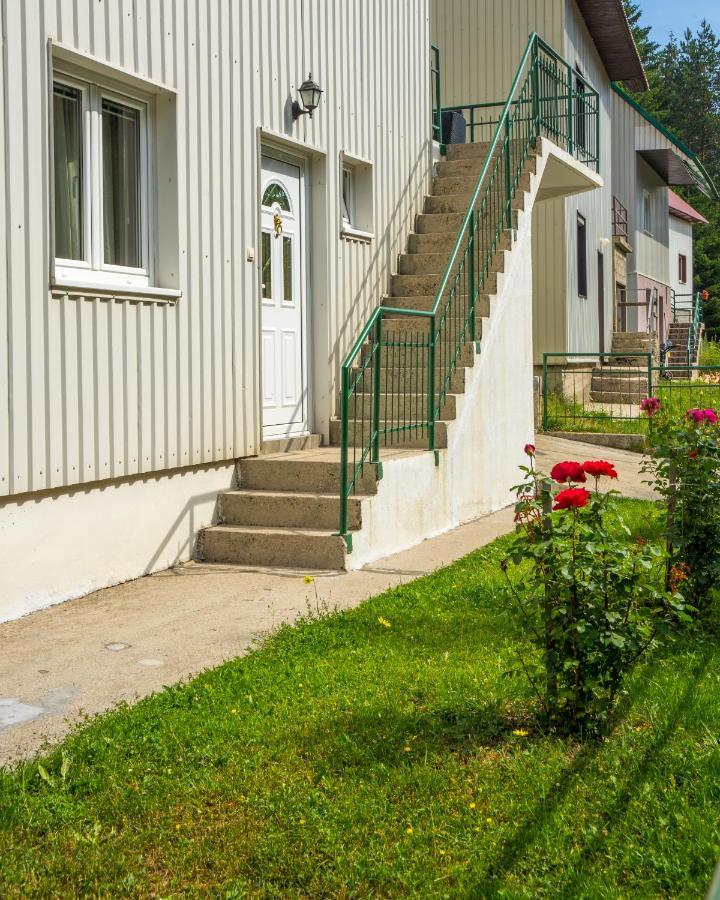 Appartement Knezevic *